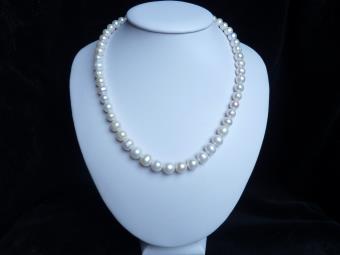 perly bílé (2908) 50 cm